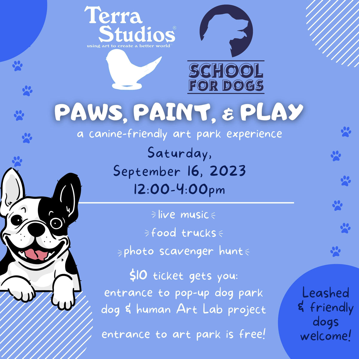 Paws, Paint, & Play dog park + art lab ticket Terra Studios