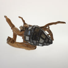 Load image into Gallery viewer, Bohn - Hermit Crab Onyx-Pearl