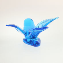 Load image into Gallery viewer, Bluebird of Happiness® Flyer