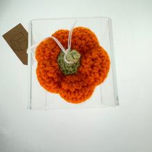 Load image into Gallery viewer, Freeman - Crochet Pumpkins