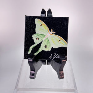 Yates - Canvas Magnet, Luna Moth