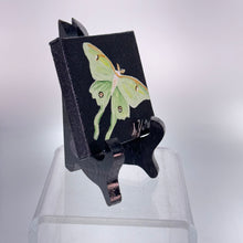Load image into Gallery viewer, Yates - Canvas Magnet, Luna Moth