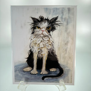 Damon - 8x10 Wet Cat print