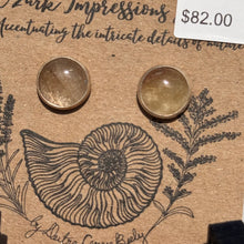 Load image into Gallery viewer, Roberts-Biely - Studs - Rutilated Quartz Studs