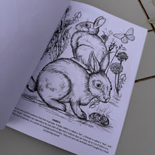 Load image into Gallery viewer, Lynn -  Wild Life Art Coloring Book