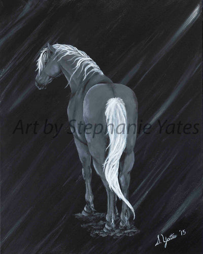Yates - gray horse
