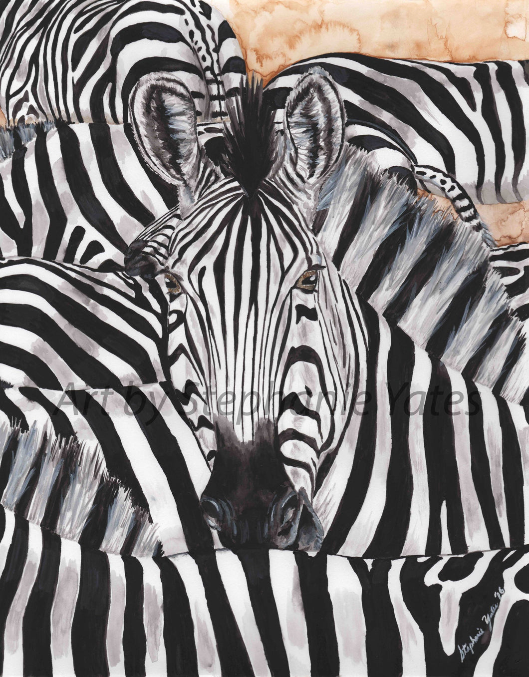 Yates - zebra print