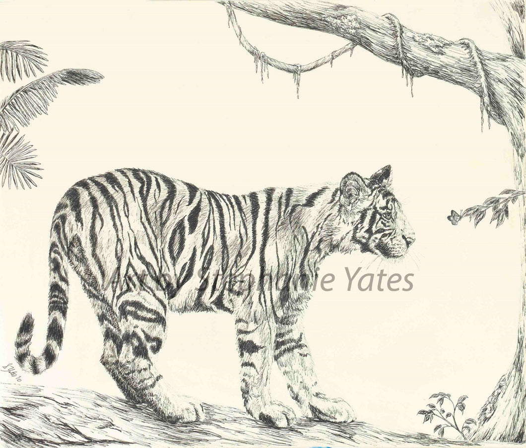 Yates -Tiger