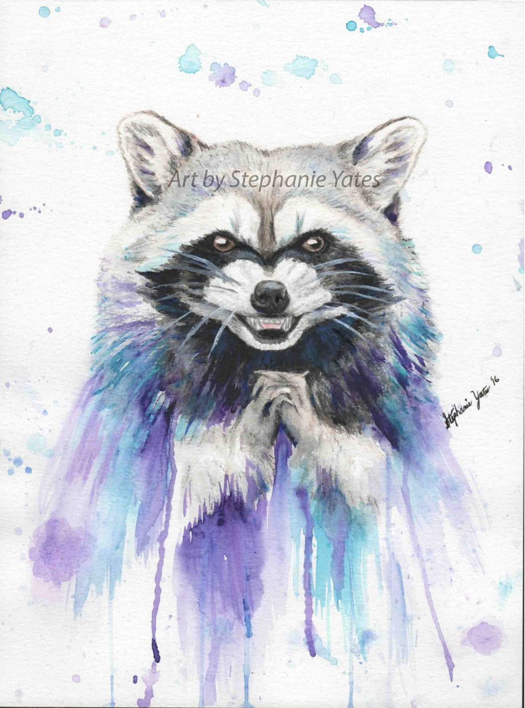 Yates - Mischievous Raccoon