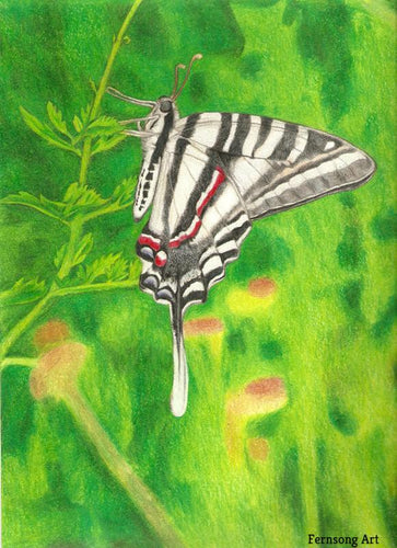 Trimble - Zebra Swallowtail