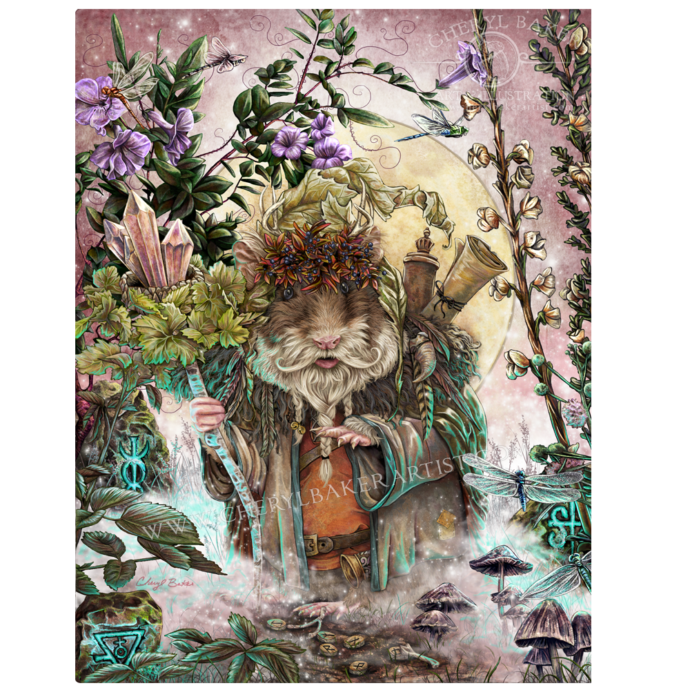 Baker - The Druid Of Hampshire
