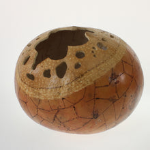 Load image into Gallery viewer, Vasquez - Carved Gourd Natural
