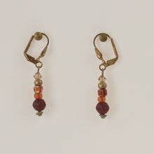 Load image into Gallery viewer, Dolan &amp; Fuller - Earrings Multi Color