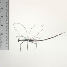 Load image into Gallery viewer, Carmona - Dragonfly Blue-Crimson Red