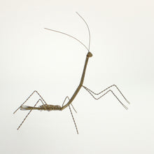 Load image into Gallery viewer, Carmona - Grasshopper Gold