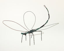 Load image into Gallery viewer, Carmona - Dragonfly Black-Green