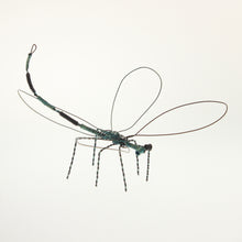 Load image into Gallery viewer, Carmona - Dragonfly Black-Green