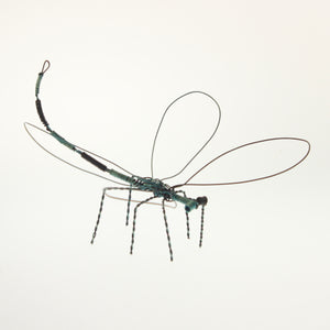 Carmona - Dragonfly Black-Green