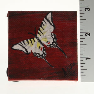Yates - Tiny Painted Canvas - Zebra Swallowtail Black&White On Dark Red