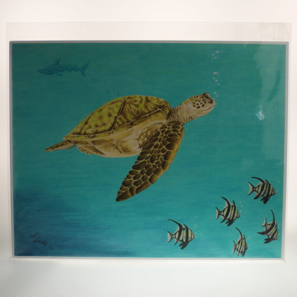 Yates - Print Of Colored Pencil Drawing - Sea Turtle