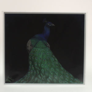 Yates - Print Of Oil Painting - Peacock