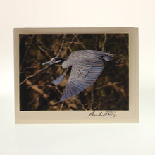 Load image into Gallery viewer, Siegele &amp; Haley - Set Of 6 Cards, birds