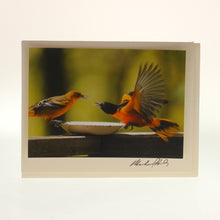 Load image into Gallery viewer, Siegele &amp; Haley - Set Of 6 Cards, birds