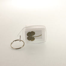 Load image into Gallery viewer, Spykerman - Four leaf clover keychain