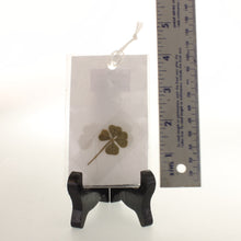 Load image into Gallery viewer, Spykerman - 3 pack of single Four Leaf Clovers